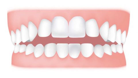 مطوية عن نظافة الأسنان مميزة ومفيدة