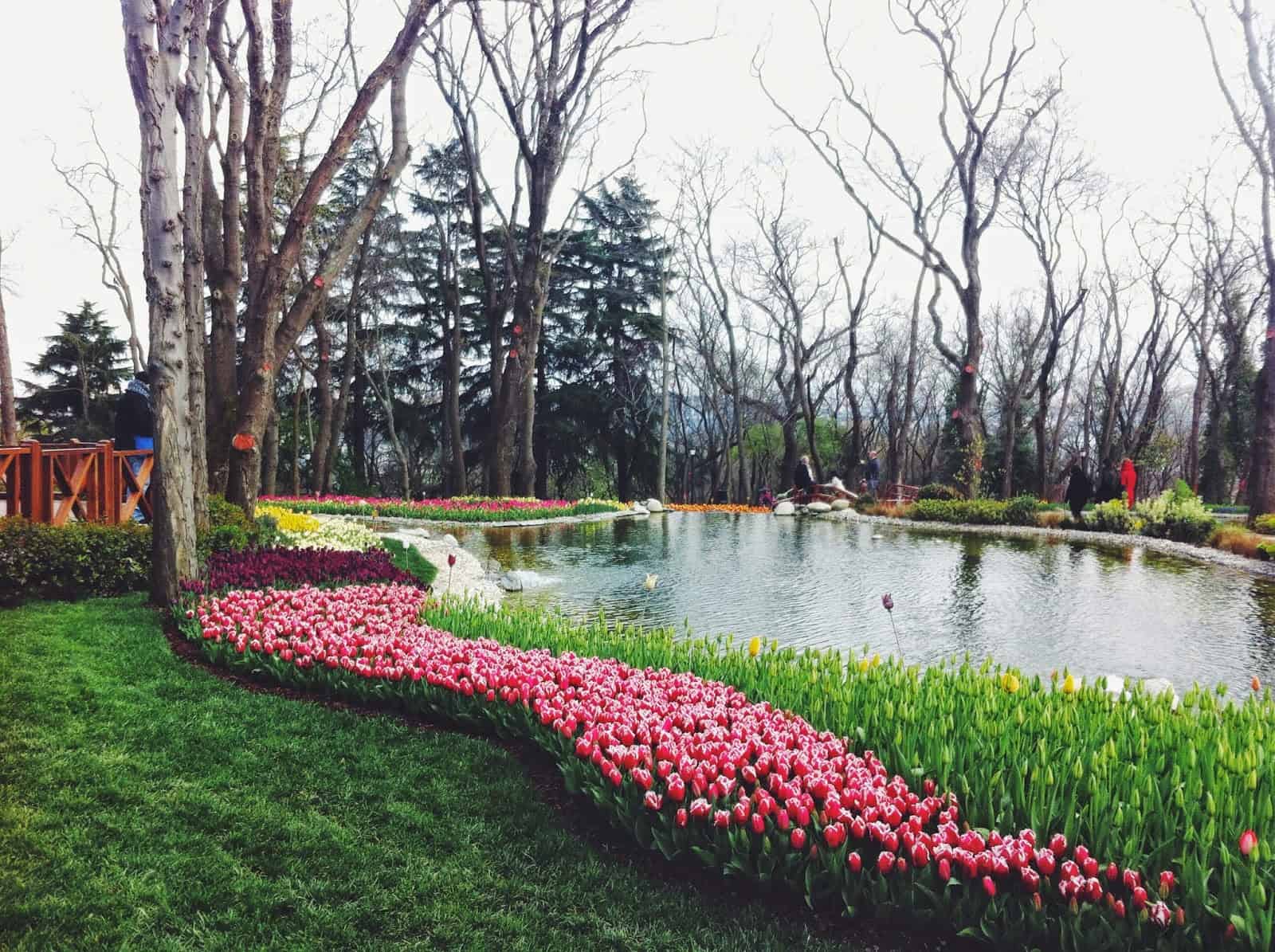 معلومات emirgan korusu