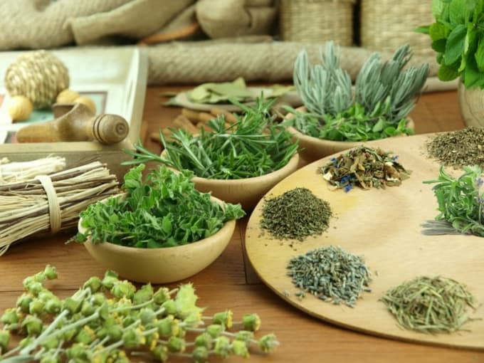 عشبة السرون لتقوية النظر