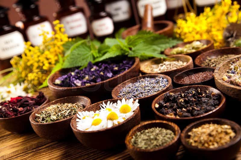 علاج التينيا بالأعشاب مجرب