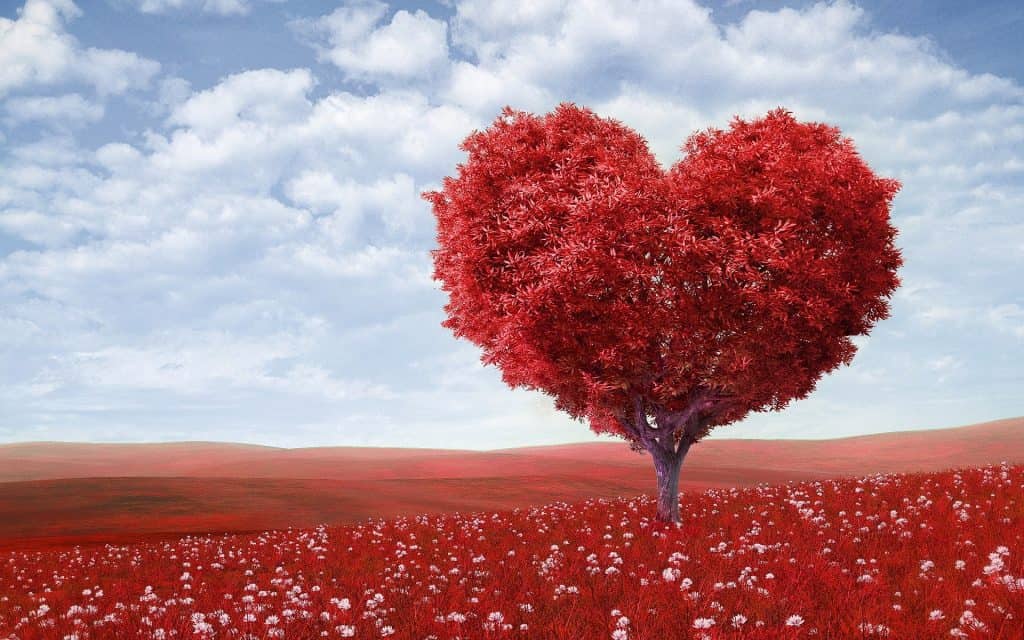 لماذا يستفز الرجل المرأة التي يعشقها ؟