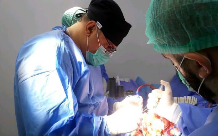 فوائد مضغ اللبان بعد عملية اللوز