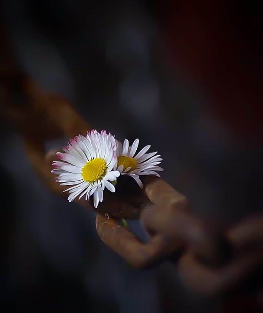 ما الفرق بين طلب الدعاء والتمني