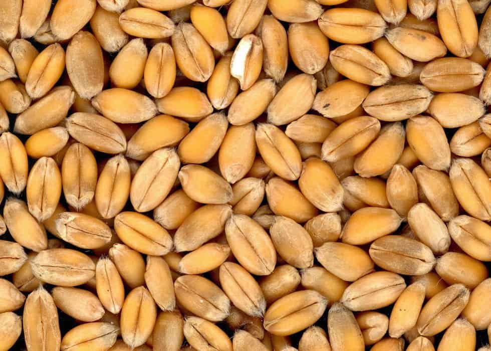 تفسير رؤية رشاد بالمنام