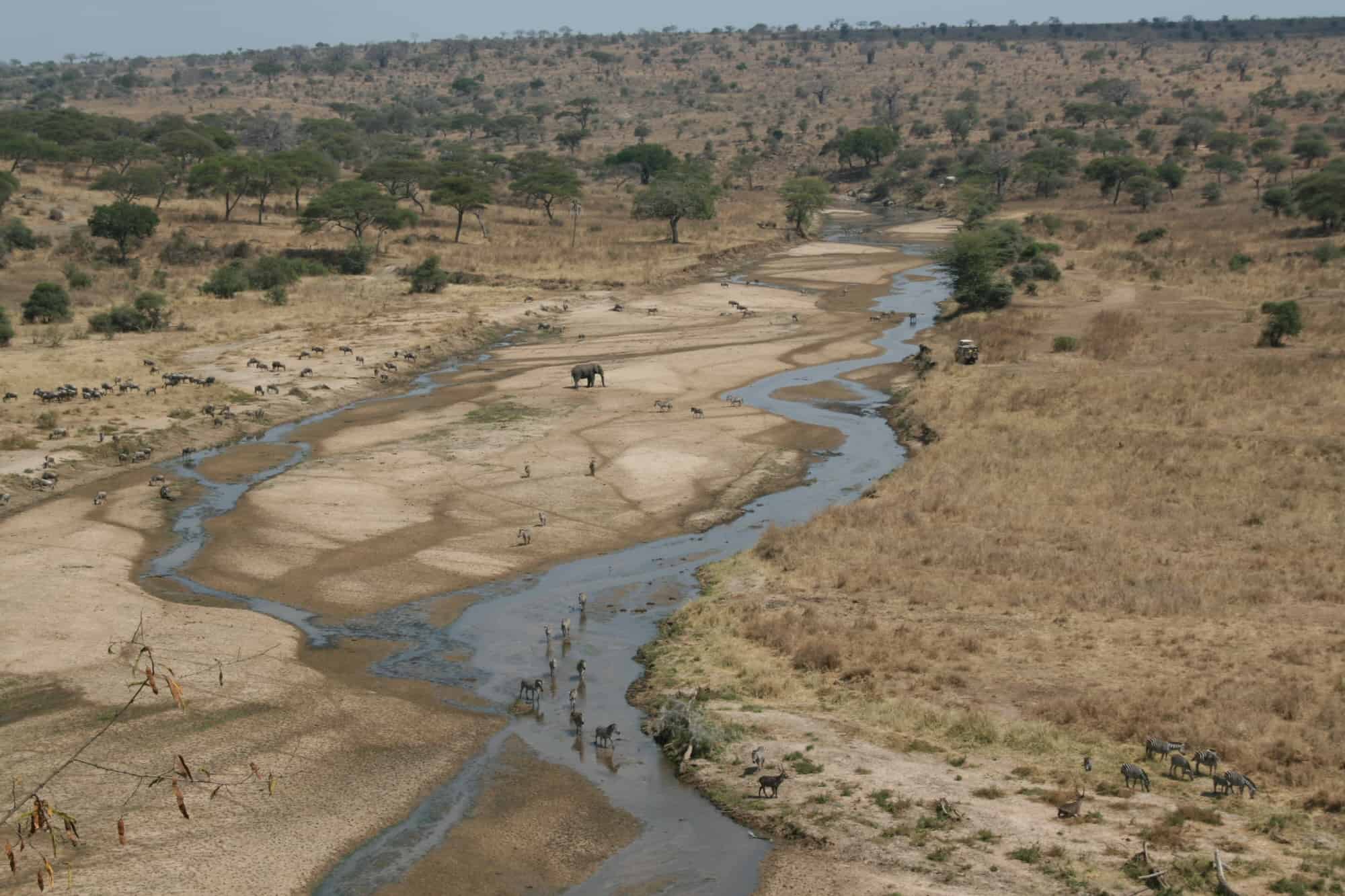 ما تفسير جفاف النهر في المنام