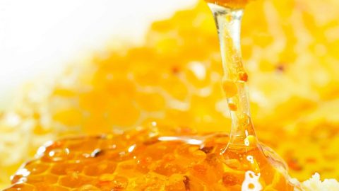 ما فائدة العسل الملكي للمناعة والصحة