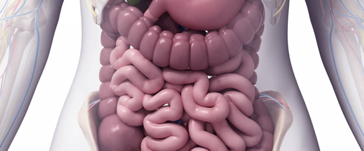 ديدان البطن وأنواعها وأسبابها وعلاجها