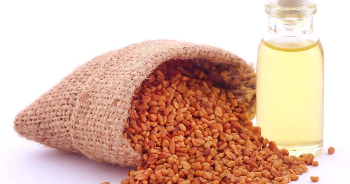 طريقة زيت الحلبة لتكبير الثدي مجربة