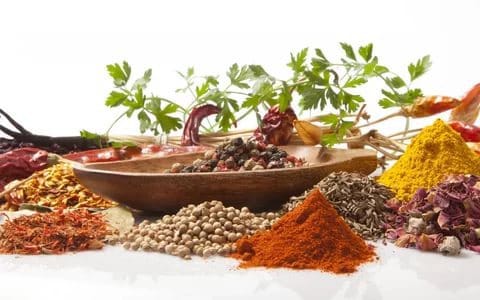 علاج قصور الدورة الدموية بالاعشاب