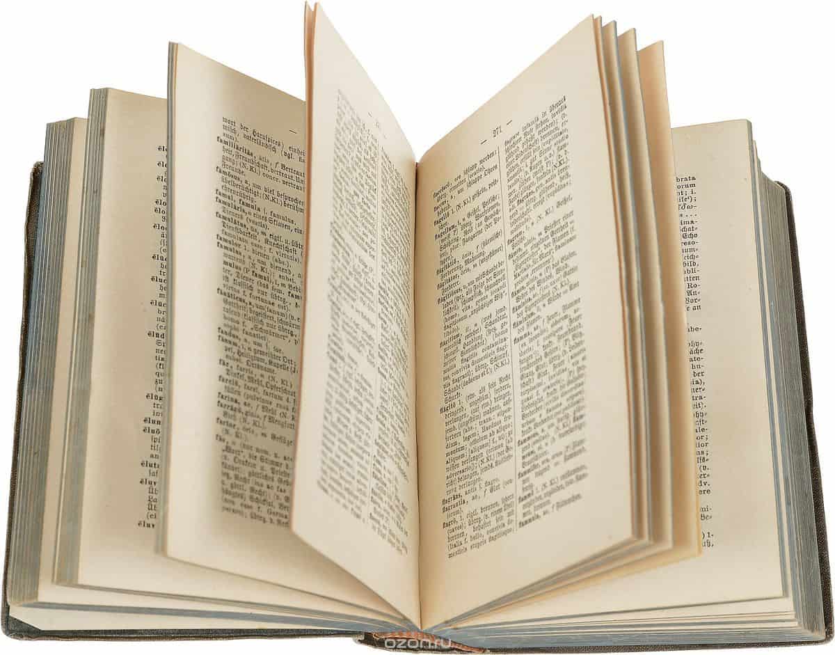 ما معنى كلمة bin