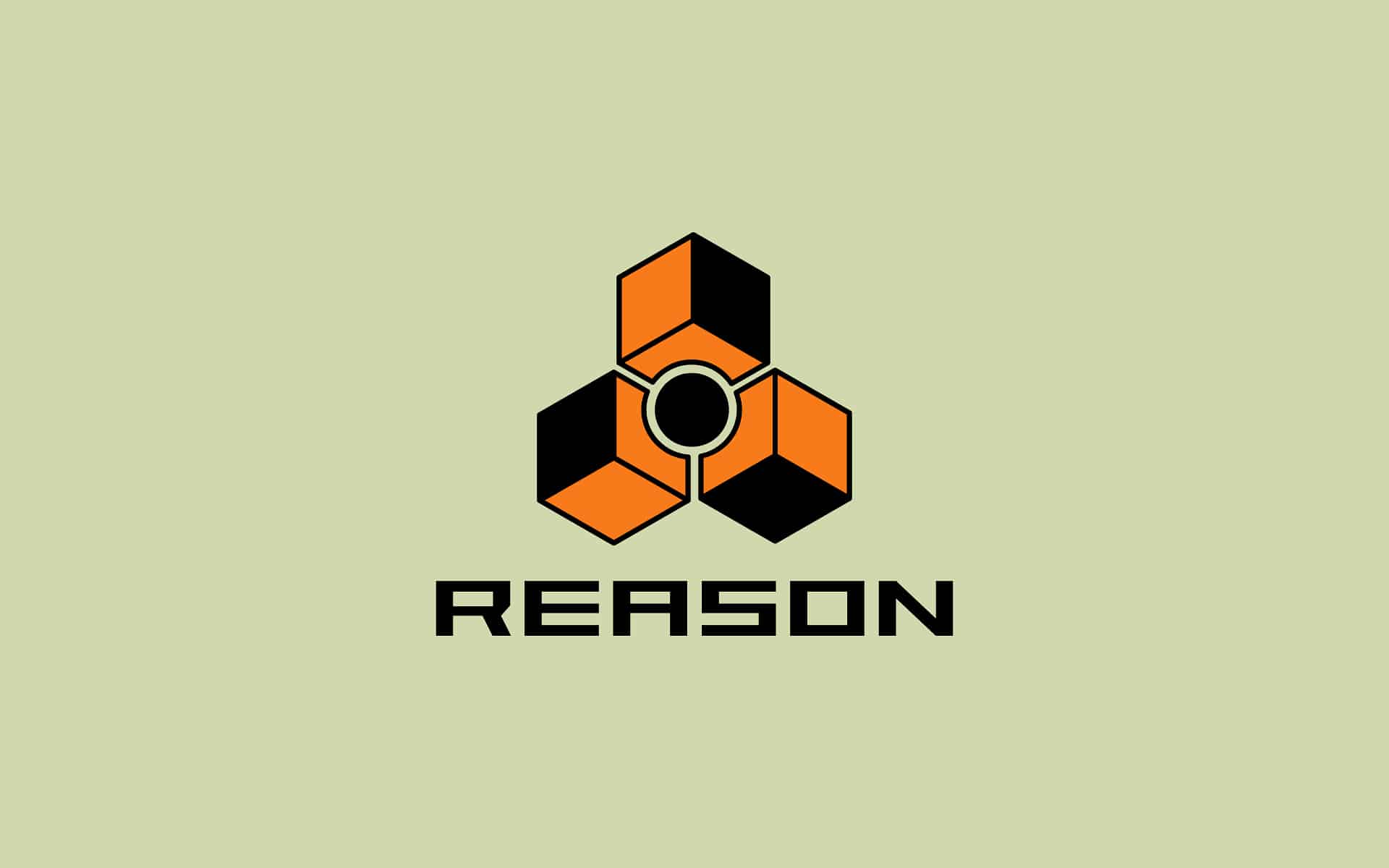 ما معنى كلمة reason