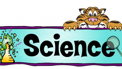 ما معنى كلمة science