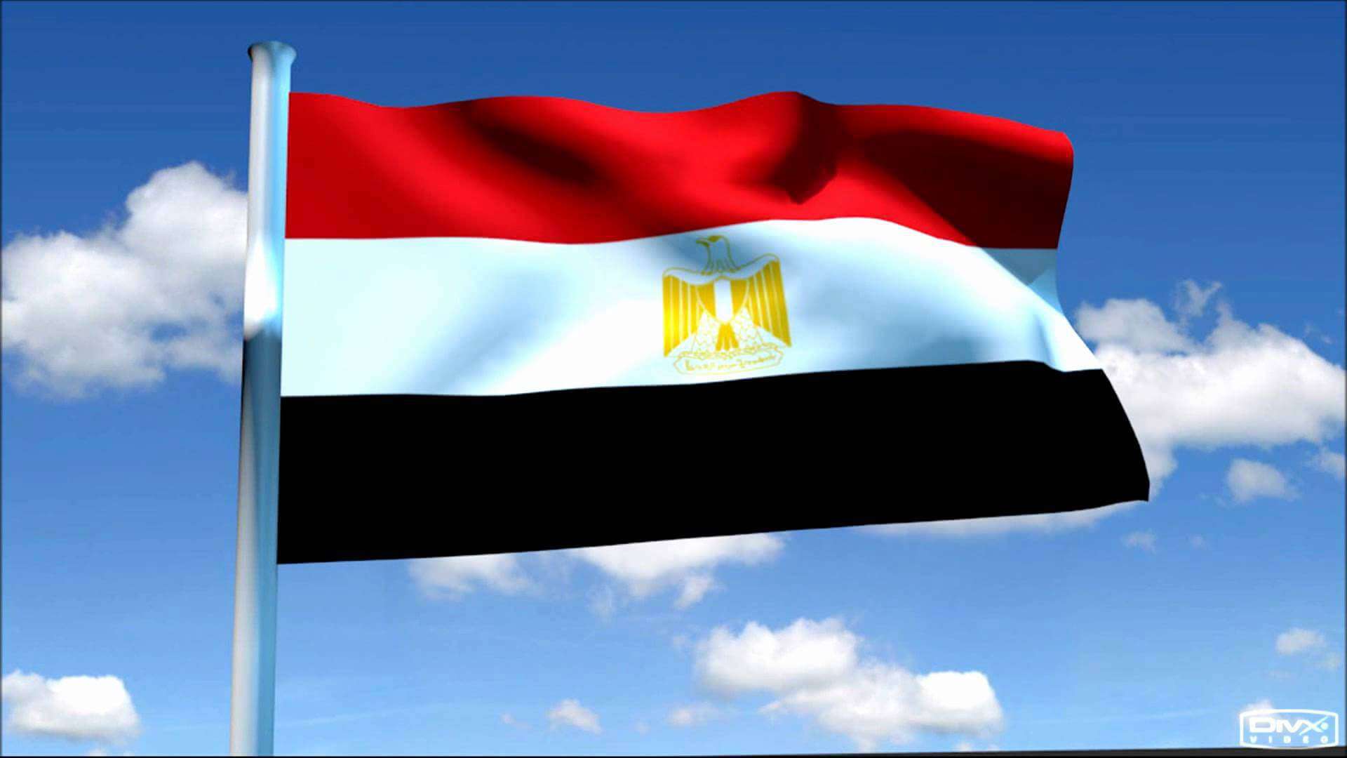 ما رقم هاتف السفارة المصرية بالرياض 2024