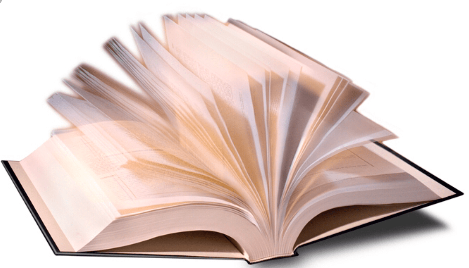 ما معنى كلمة زول