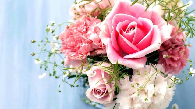 صور ورود وأسمائها وأنواعها