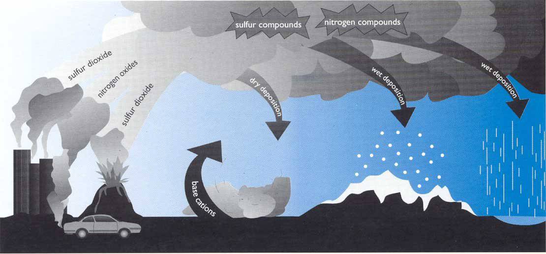 ما هي الأمطار الحمضية : أسبابها وعلاجها