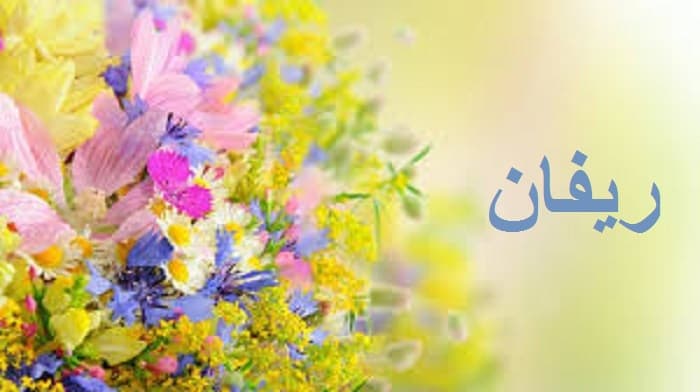 ما معنى اسم ريفان وحكم تسميته