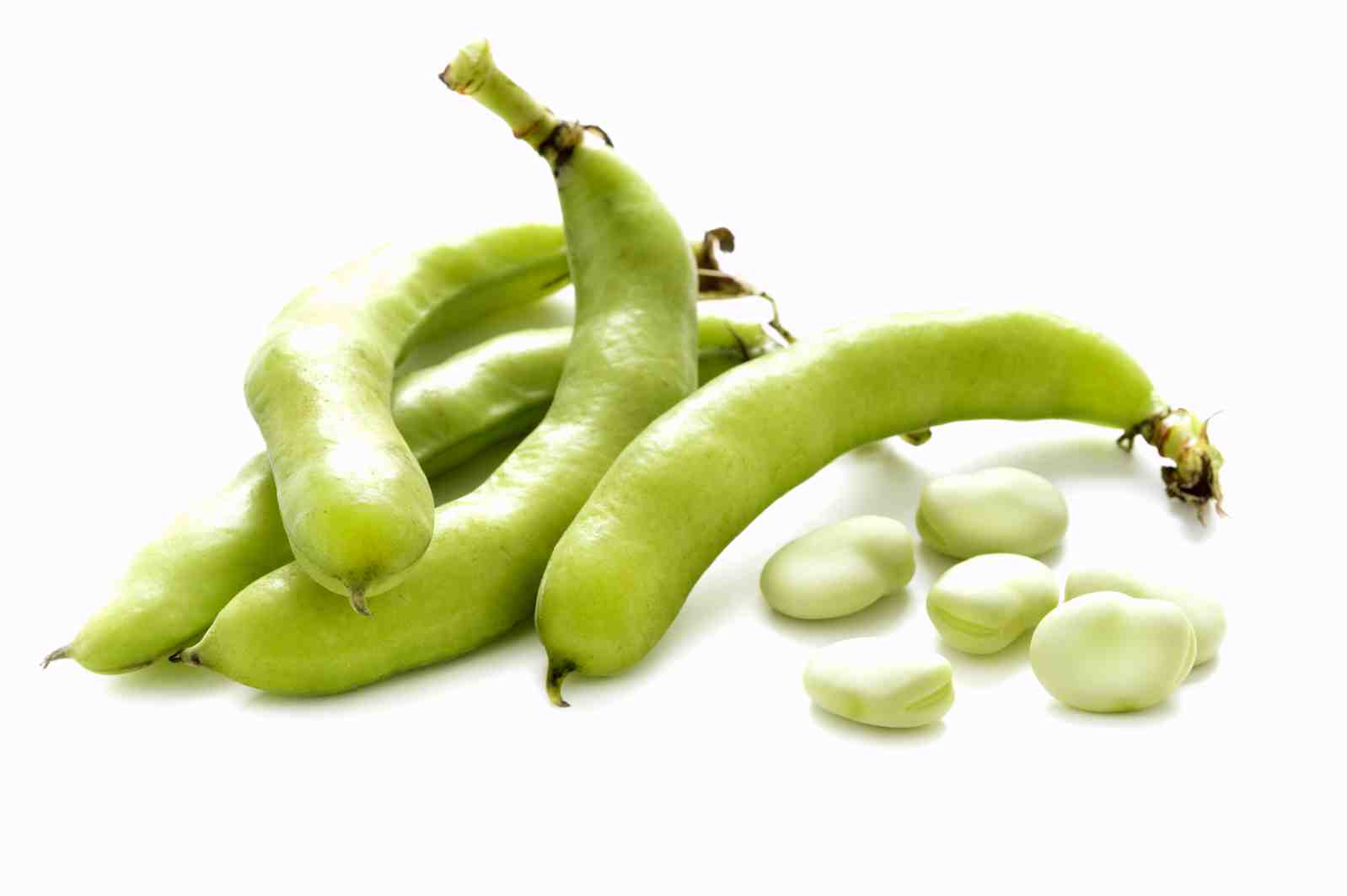 فوائد نبات الفول للصحة والجسم وطريقه تحضيره