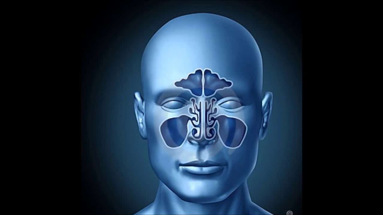 علاج الجيوب الأنفية بالأعشاب