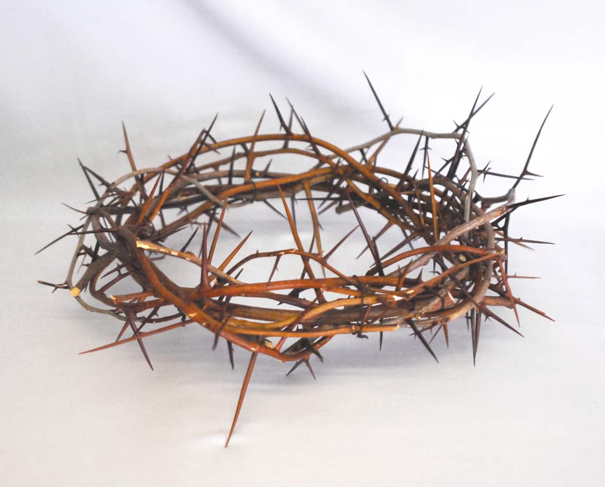 تفسير رؤية الشوك في المنام