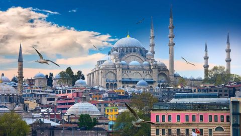 شروط تأشيرة دخول تركيا للسعوديين بالخطوات