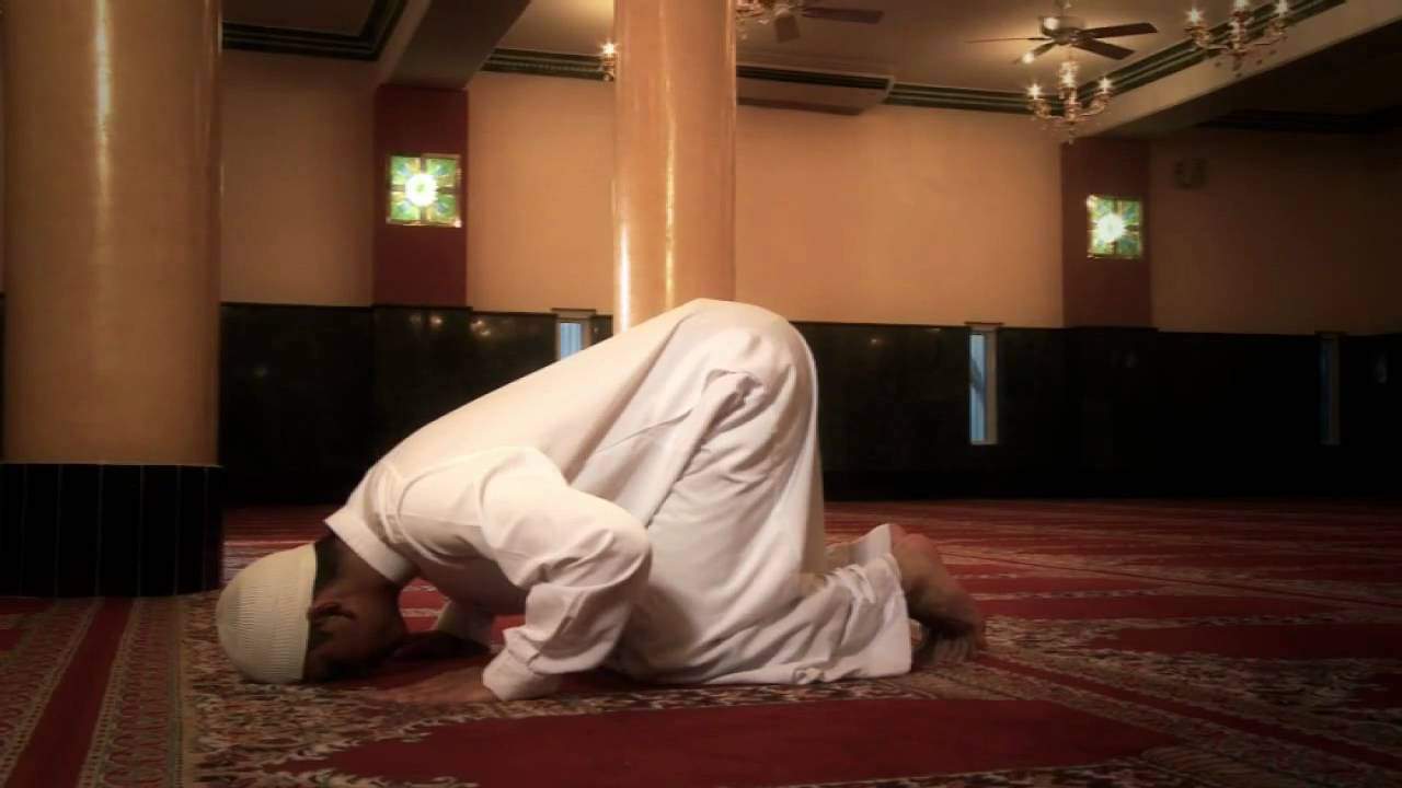 ما عدد ركعات قيام الليل