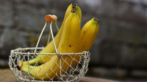 فوائد الموز باللبن للجنس