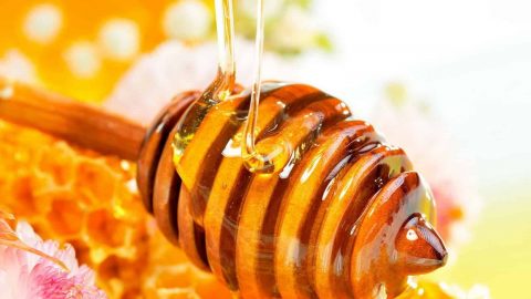 معلومات عن أشهر منتجات انهار العسل