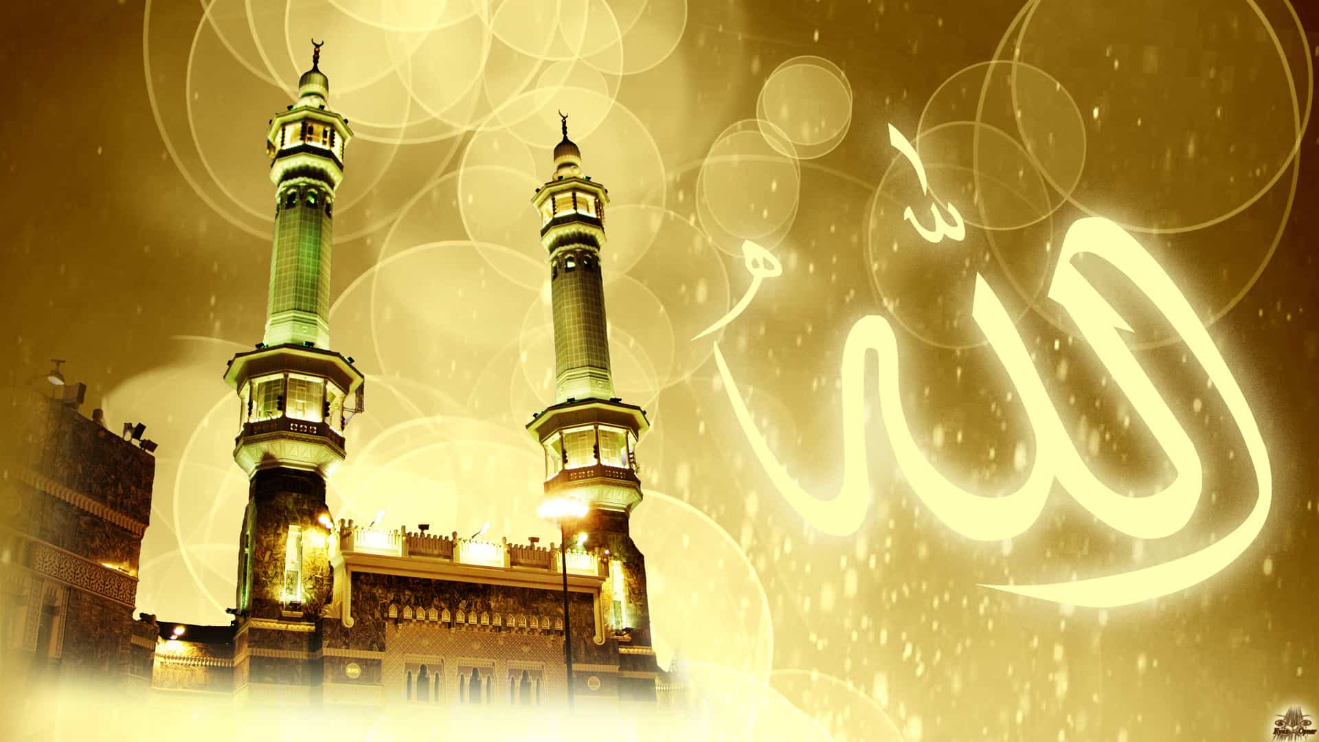 من هو الصحابي الذي كانت الملائكة تسلم عليه