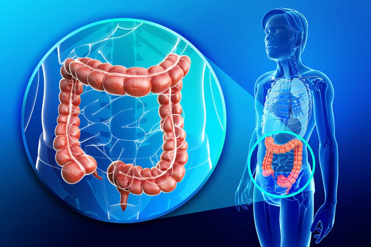 علاج التهاب الرتج بالاعشاب