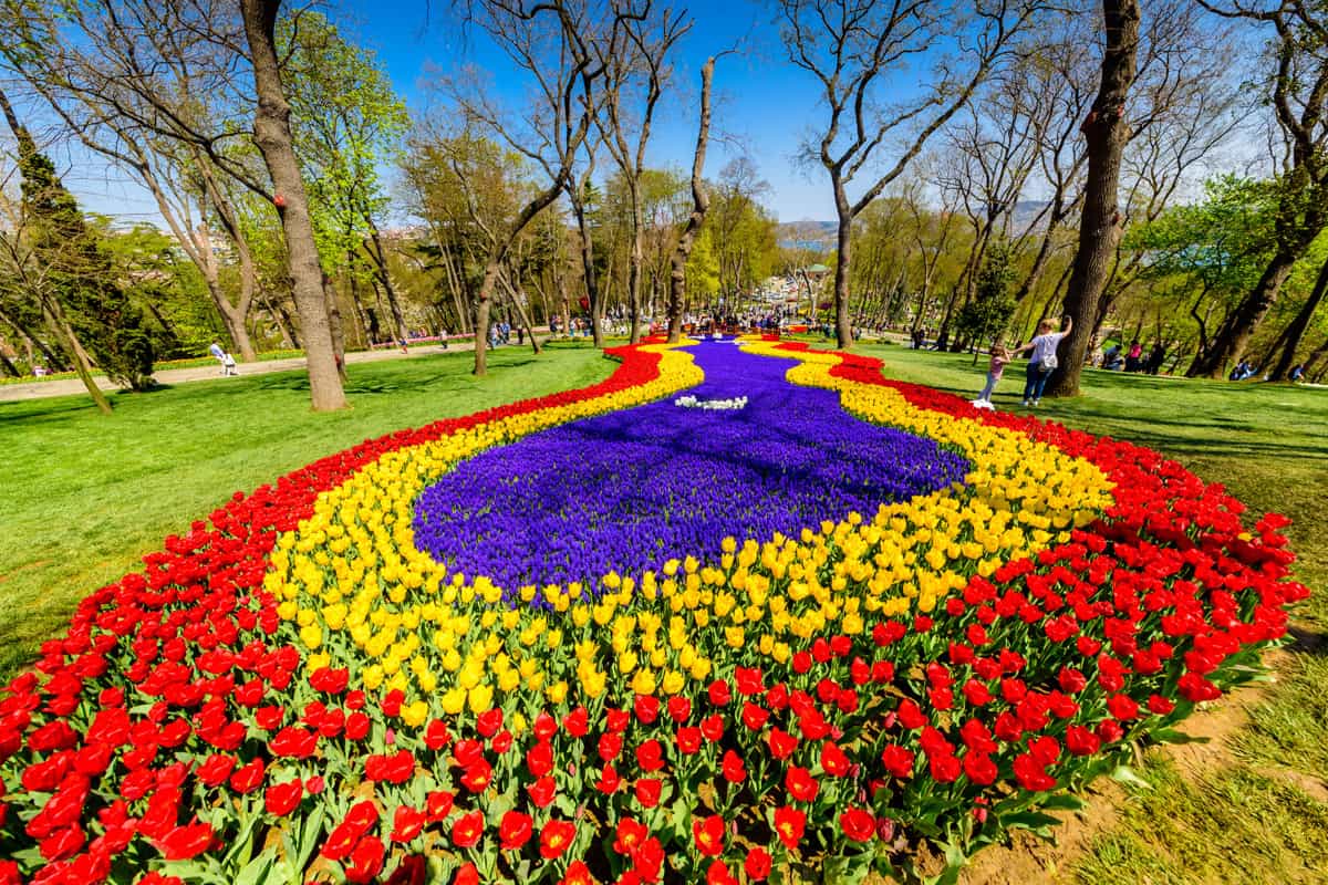 دليل الترفيه في حديقة أميرجان كوروسو