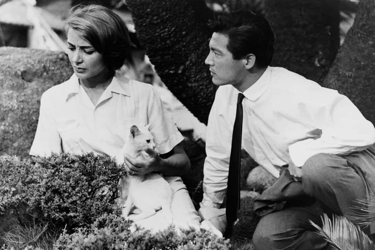 أسماء أشهر افلام هيروشيما