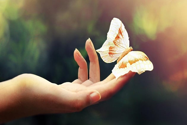 صور هادئه ملونه 2020 صور هادئه ملونه