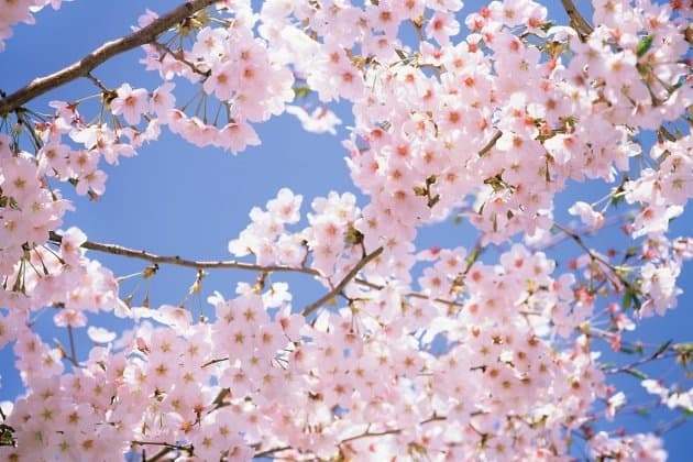 اجمل صور ملونه هادئة اجمل صور ملونه هادئة