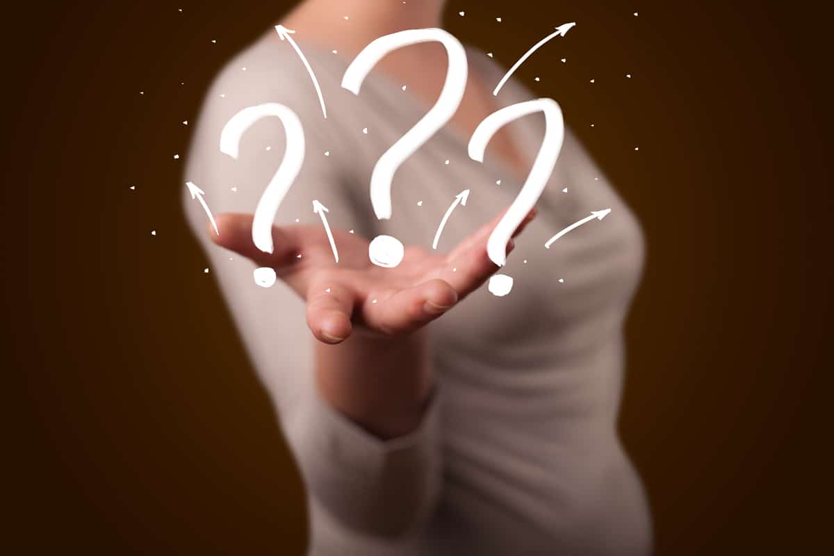 معلومات عن عزة مجاهد