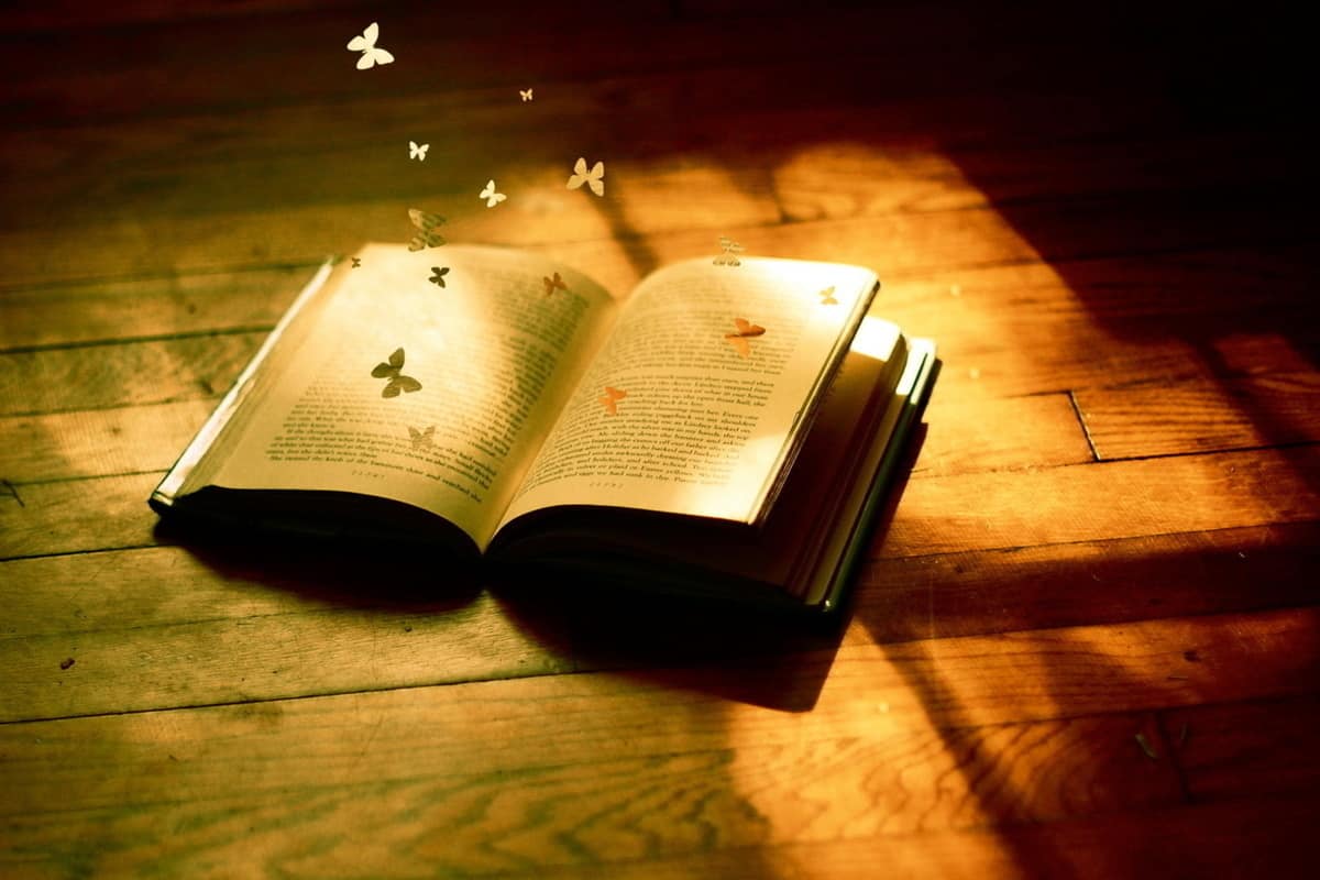 قصائد برائحة الفرج