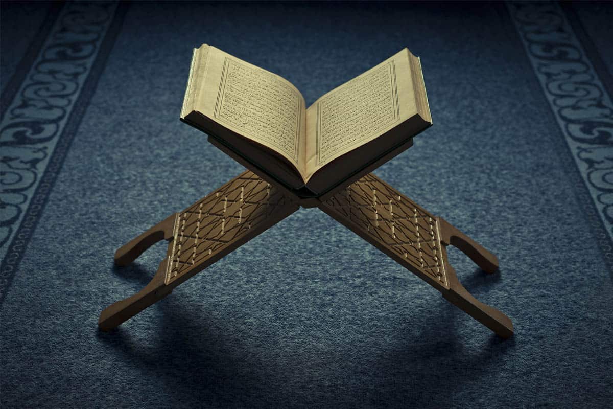 هل تزوجت بلقيس من سليمان عثيمين