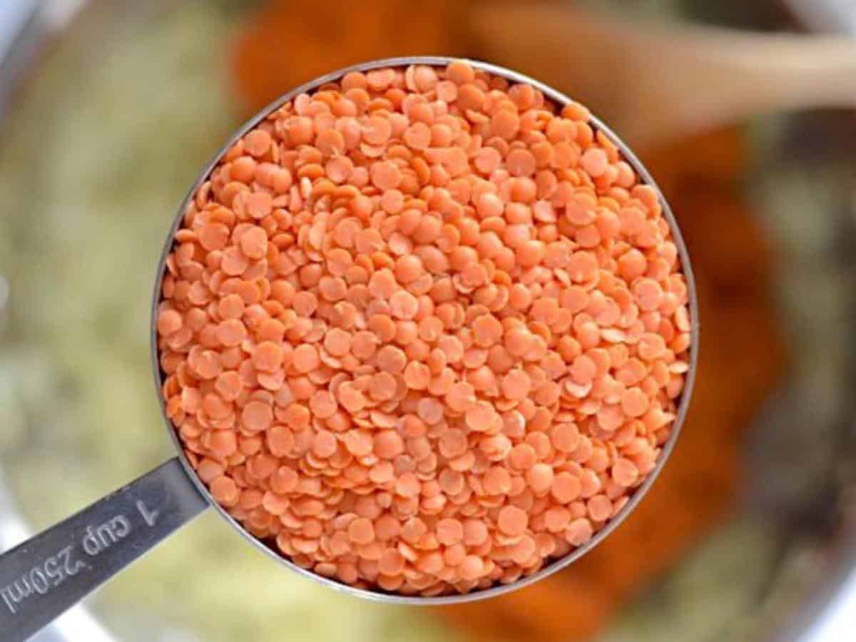 فوائد العدس و الحموضة