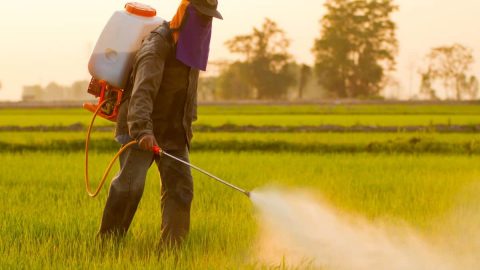 أضرار المبيدات الزراعية وفوائدها