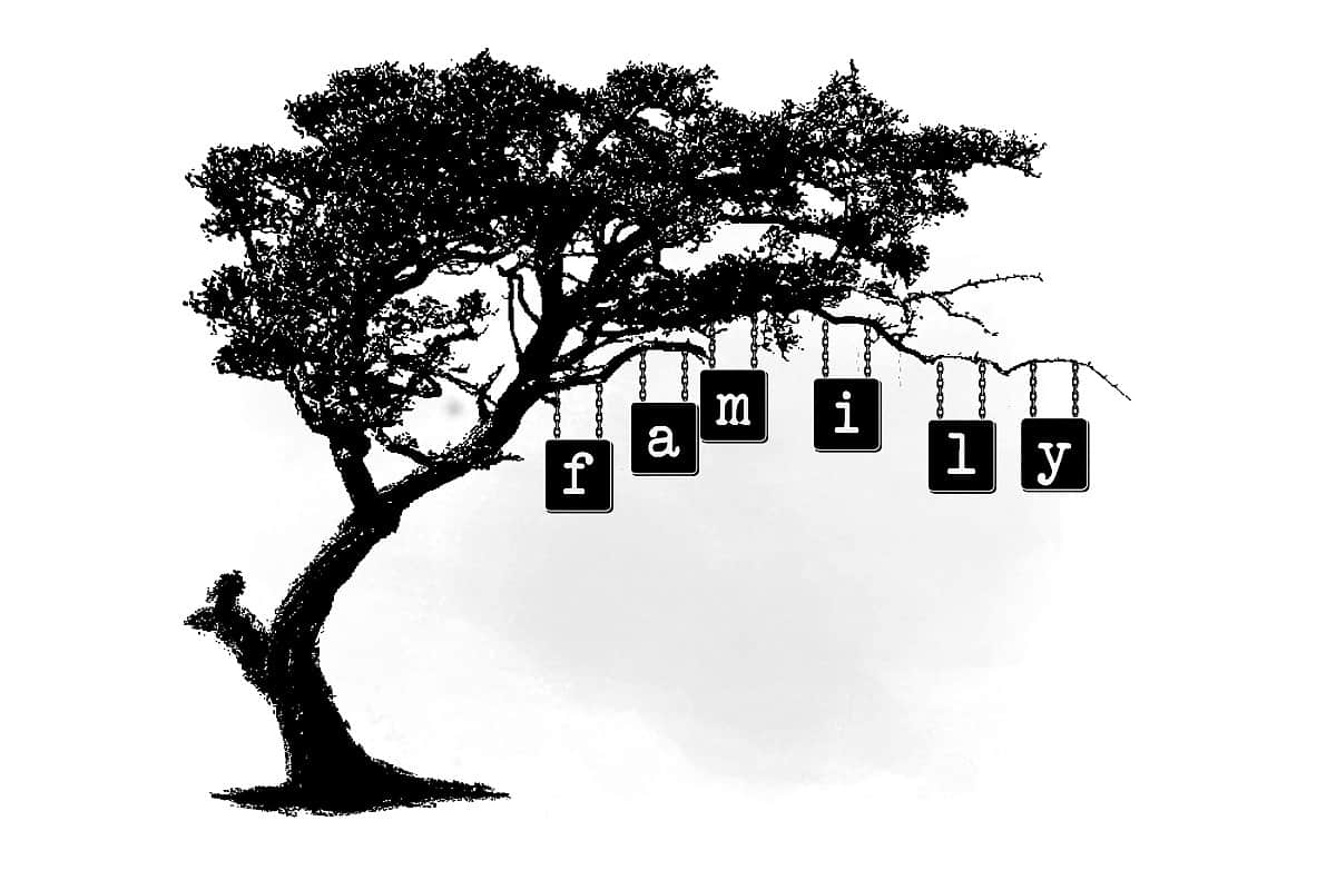 تعرف على أصول شجرة عائلات مصر