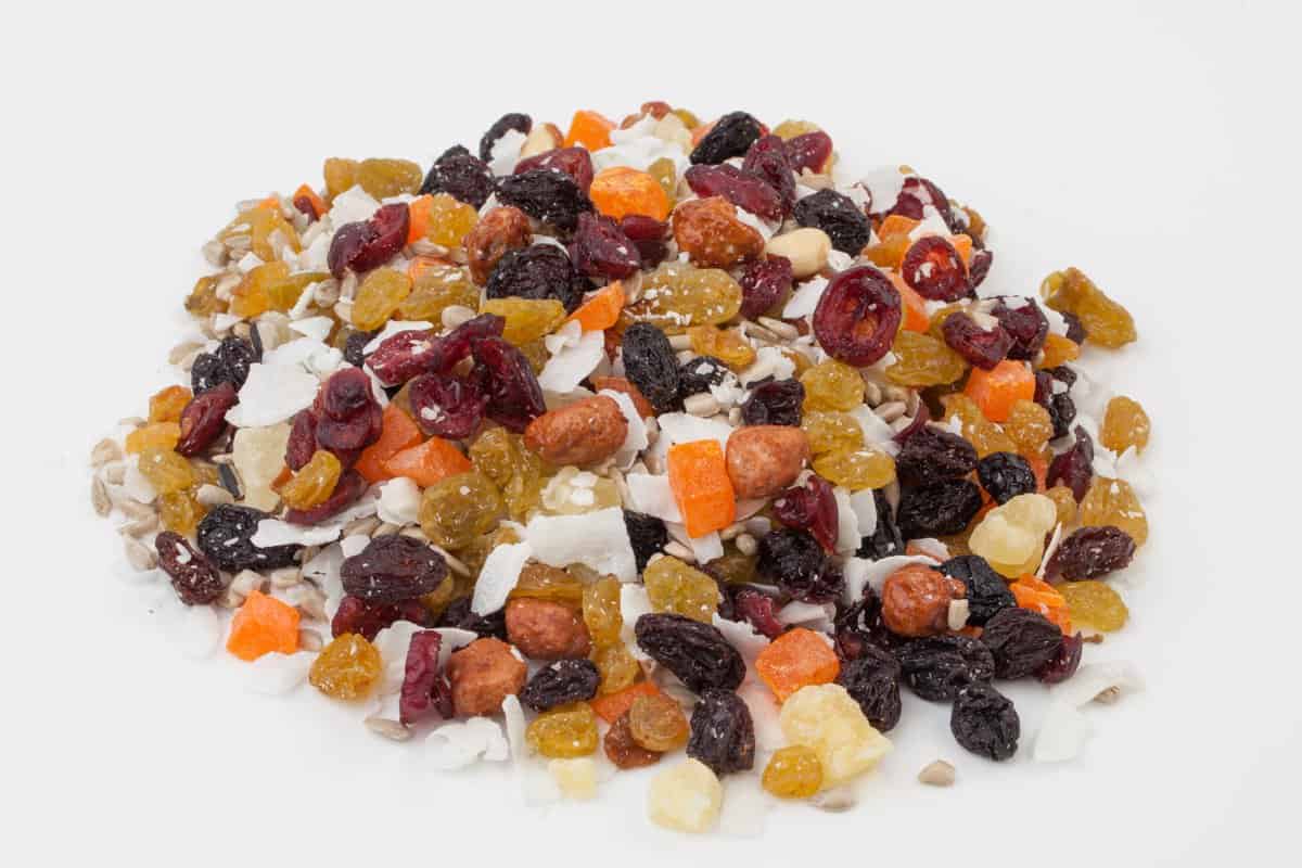 فوائد التوت البري المجفف للصحة والجسم وطريقه استخدامه