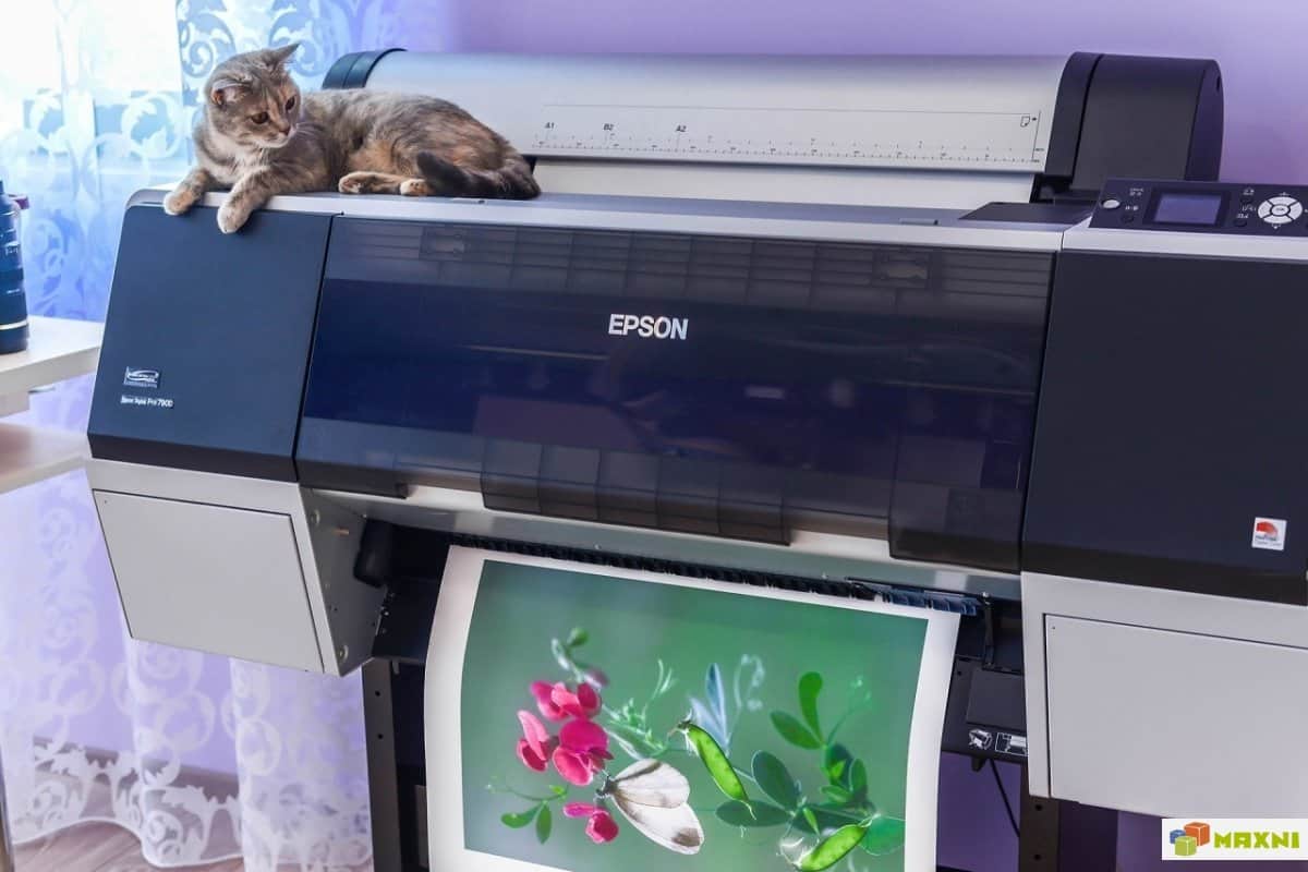 كيفية اختيار طابعة حسب استخدامك