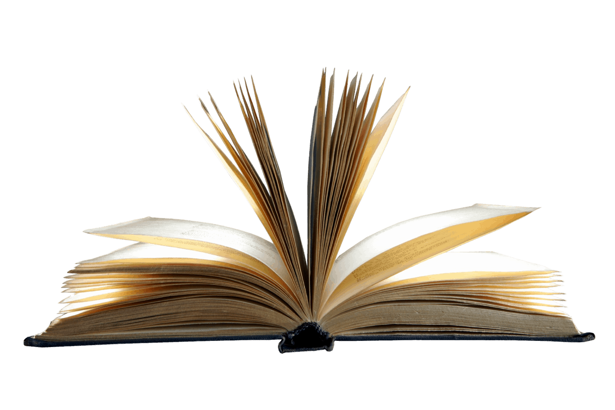 شرح درس جمع المؤنث السالم