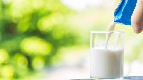 الحليب الاقرب لحليب الام