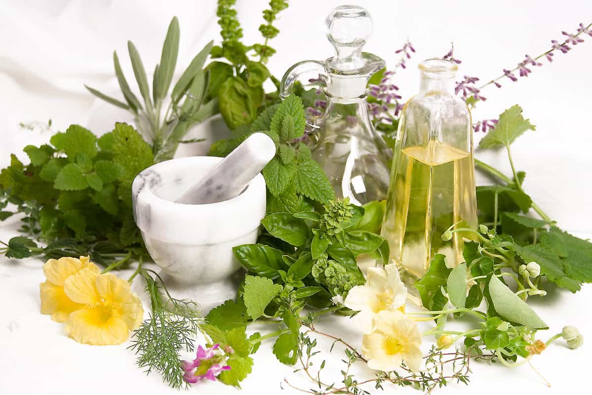 كيفية استخدام القسط الهندي