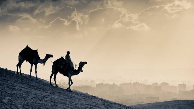 حرف ومهن الأنبياء عليهم السلام