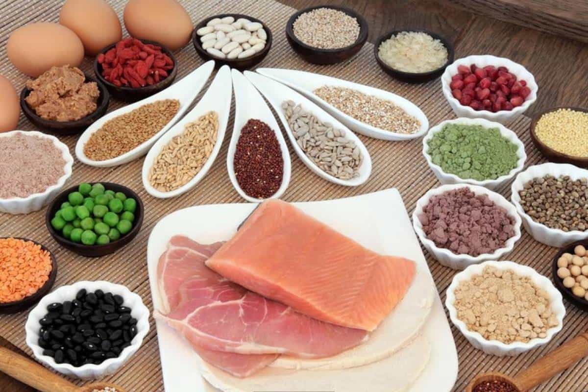الاطعمة التي تحتوي على بروتين عالي