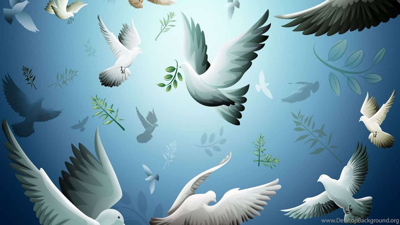 ما هو فضل السلام واهميته