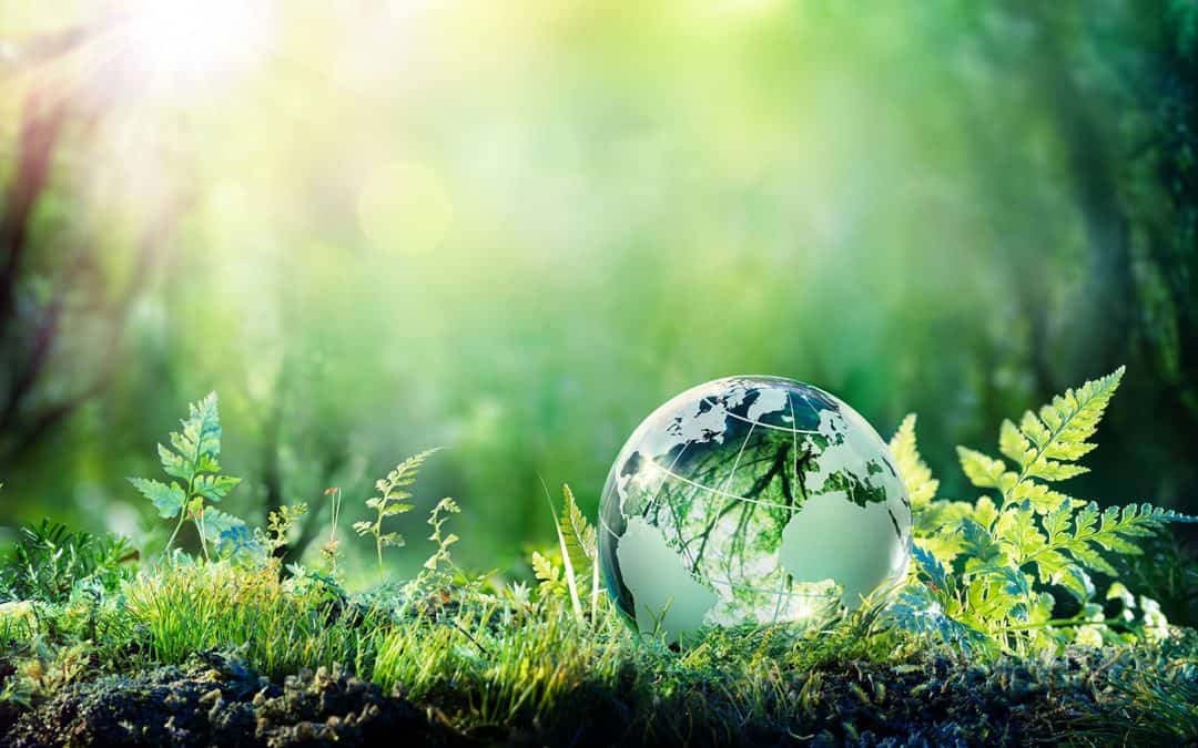 موضوع عن البيئة النظيفة