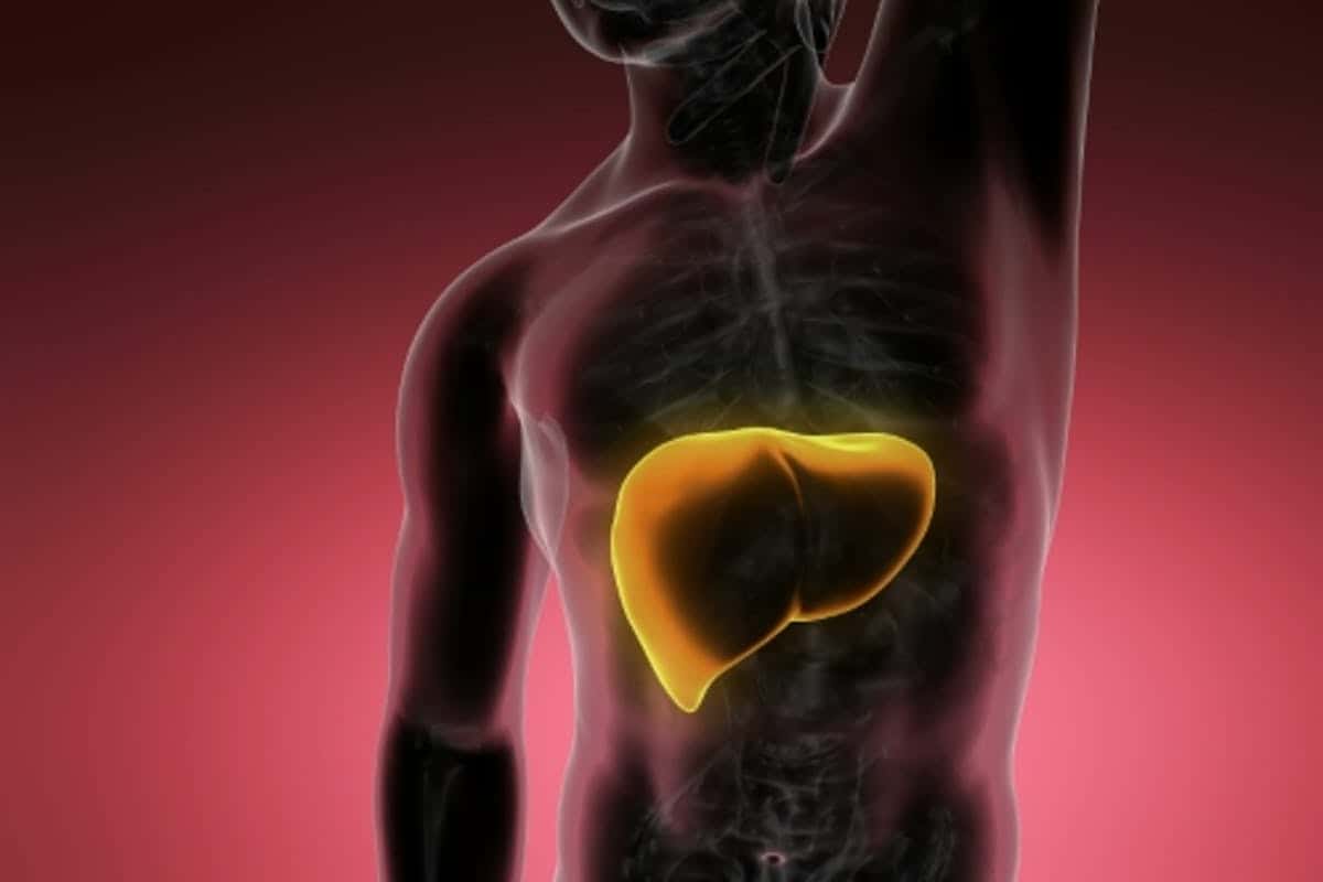 اعراض دهون الكبد وعلاجها مجرب